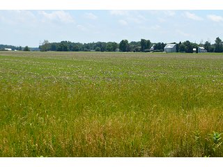Property photo 157 - LAND AUCTION - 700+/- ACRES OFFERED IN 16 TRACTS IN ALLEN COUNTY, INDIANA